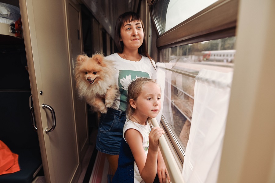 2023 01 23 ПривЖД перевозка животных в поездах дальнего следования в 202....jpg